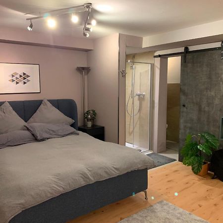 Top Studio Appartement Im Gruenen Nah Phantasialand Brühl Exteriör bild